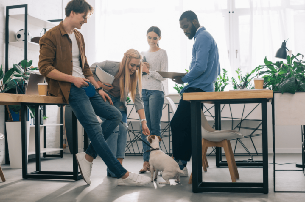 Office Employees With Pet | Mayhew | Corporate Interior Design